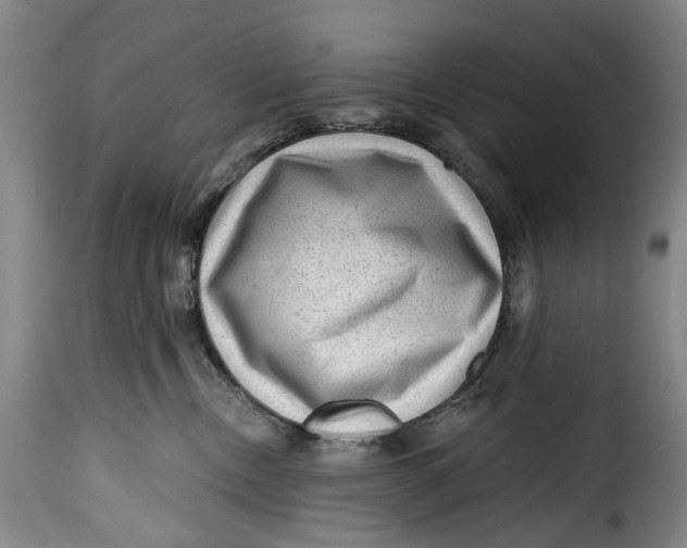 X0000115380378200911241309