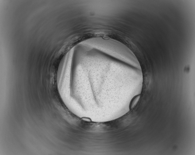 X0000115380379200911241309