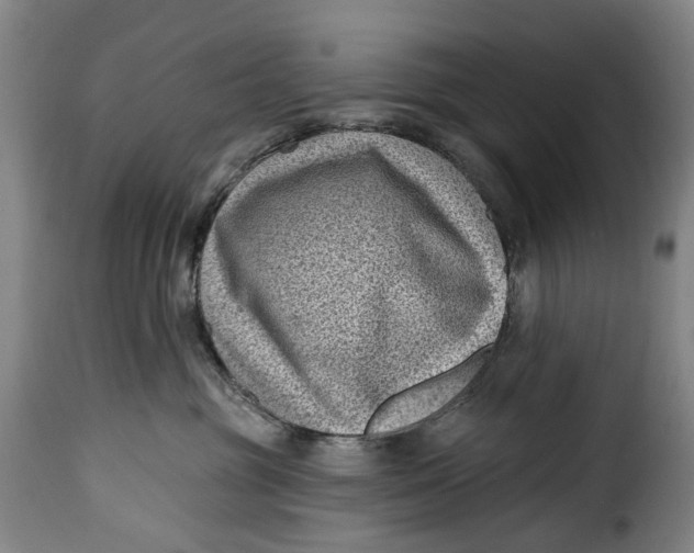 X0000115380381200911241309