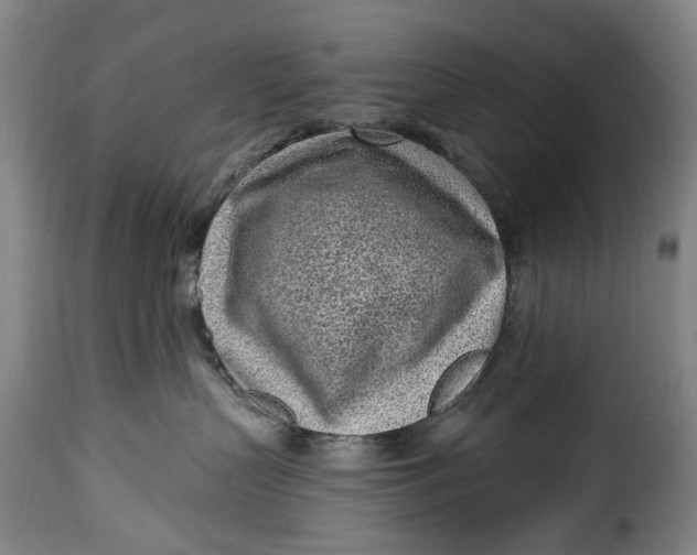 X0000115380383200911241309