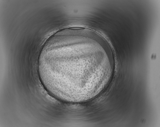 X0000115380385200911241308