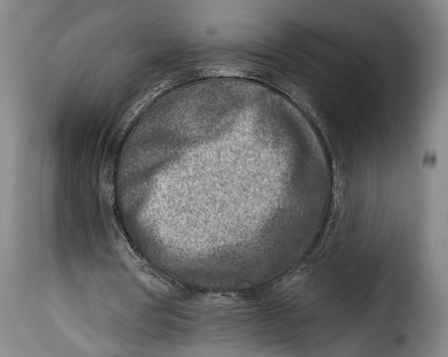 X0000115380386200911241308