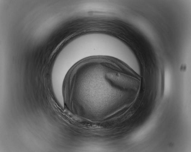 X0000115380387200911241308