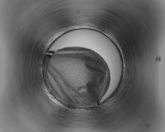 X0000115380389200911241308