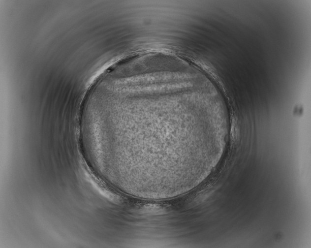 X0000115380390200911241308