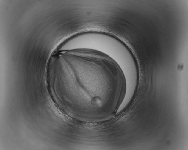 X0000115380391200911241308