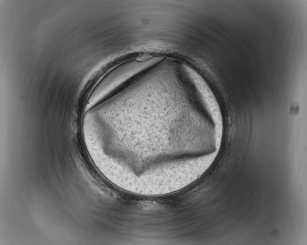 X0000115380392200911241308