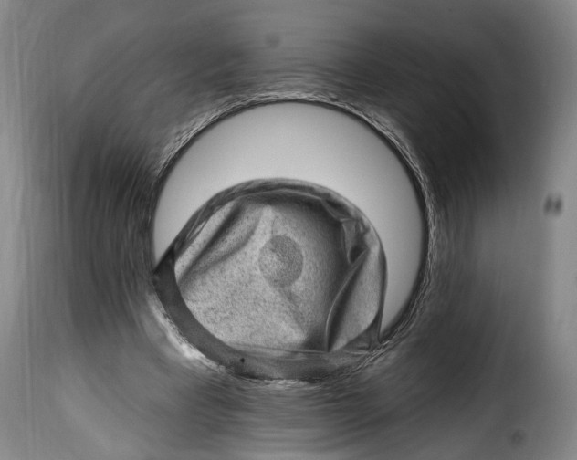 X0000115380393200911241308