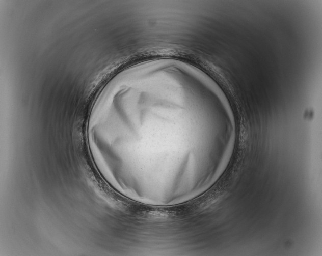 X0000115380394200911241308