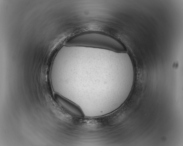 X0000115380395200911241308