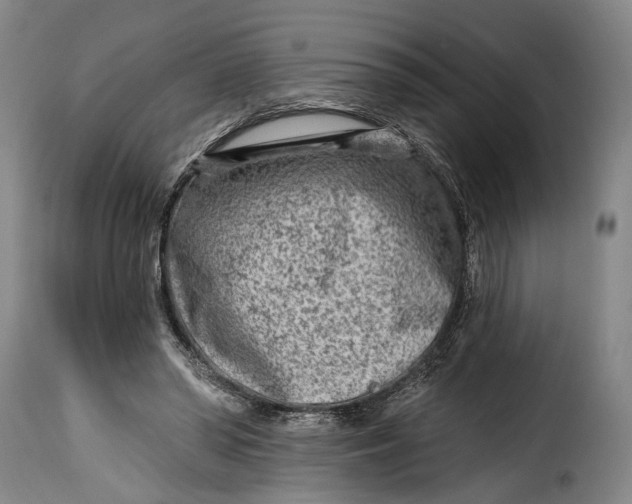 X0000115380398200911241308