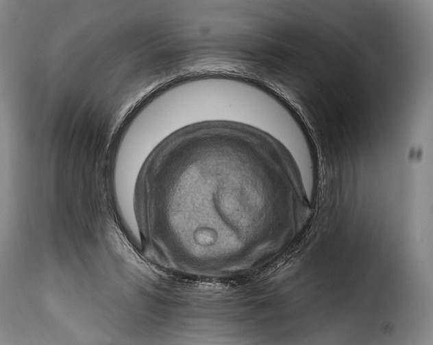 X0000115380399200911241308