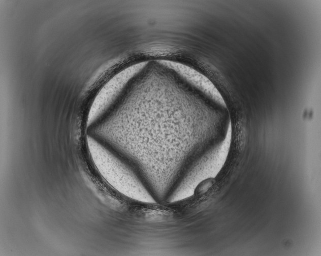 X0000115380400200911241308