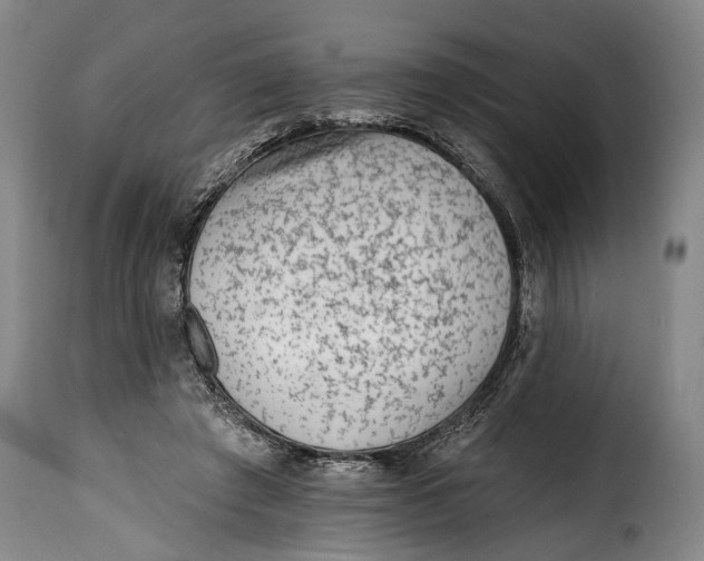 X0000115380401200911241308