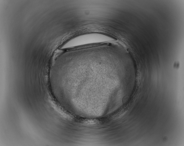 X0000115380402200911241308