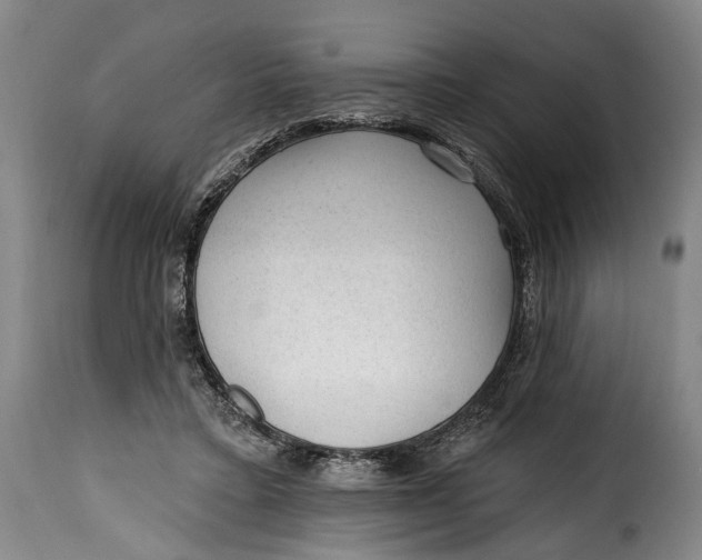 X0000115380403200911241308