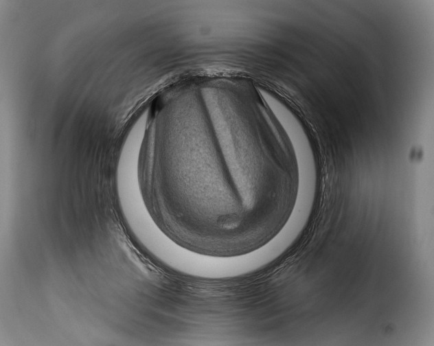 X0000115380405200911241308