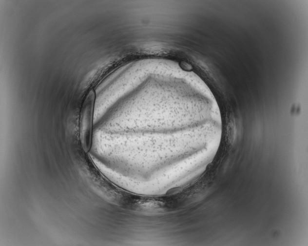 X0000115380407200911241308