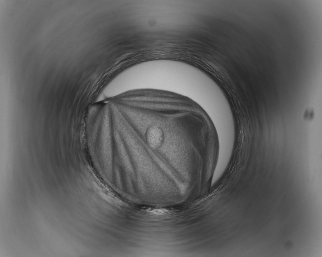 X0000115380409200911241308