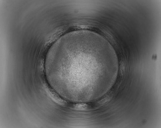 X0000115380410200911241308