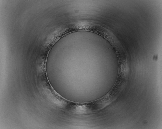 X0000115380411200911241308