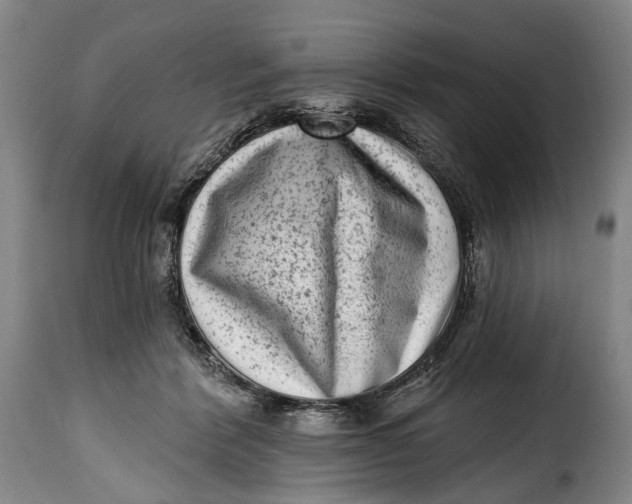 X0000115380412200911241308