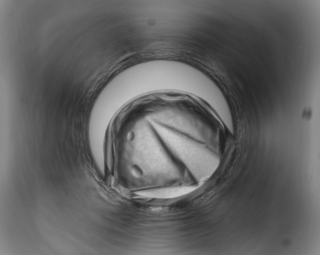 X0000115380413200911241308