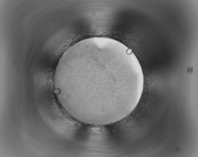 X0000115380415200911241308