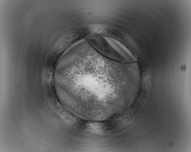 X0000115380417200911241308