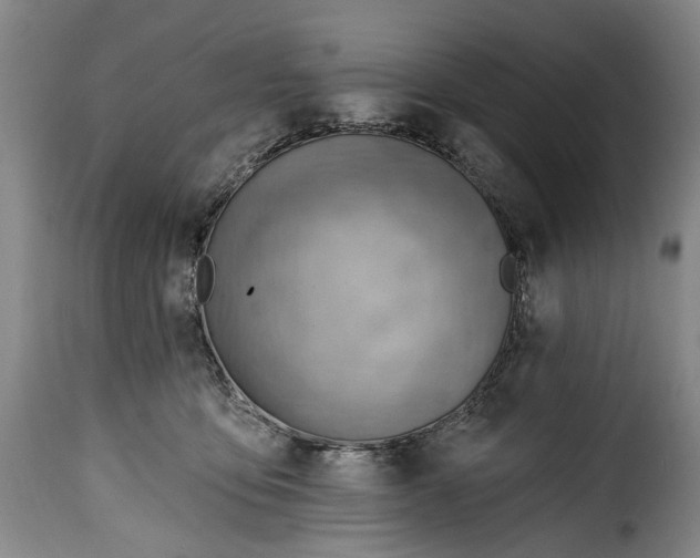 X0000115380419200911241308