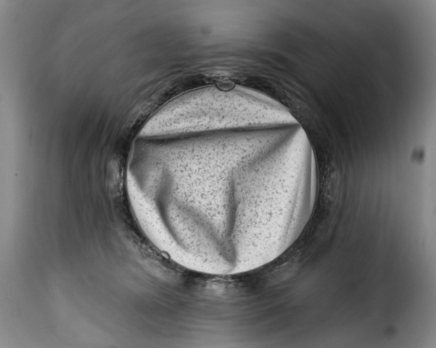 X0000115380420200911241308