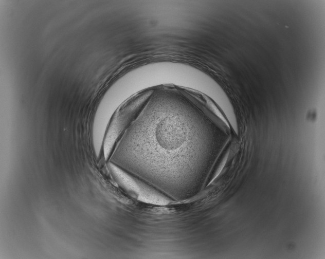 X0000115380421200911241308