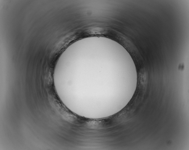 X0000115380422200911241308