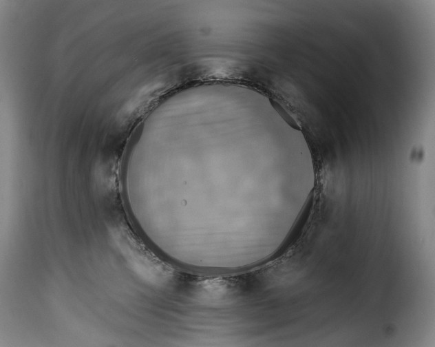 X0000115380423200911241308