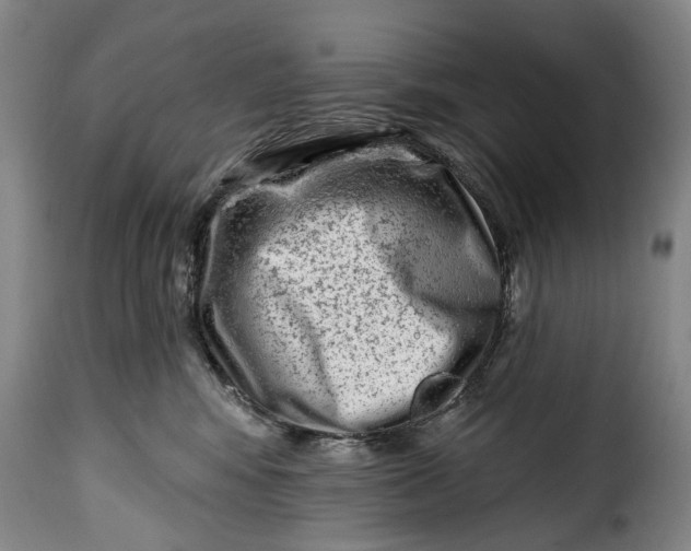 X0000115380424200911241308