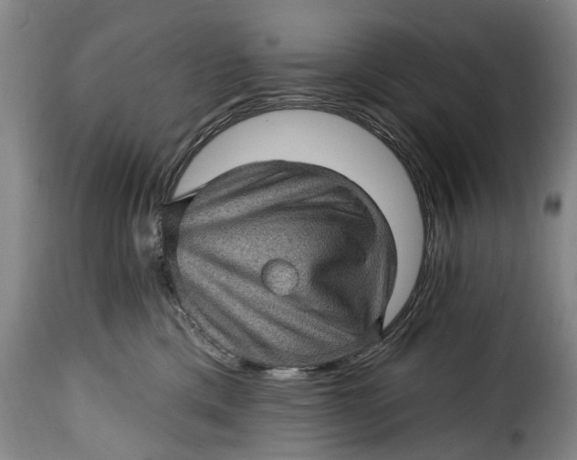 X0000115380425200911241308