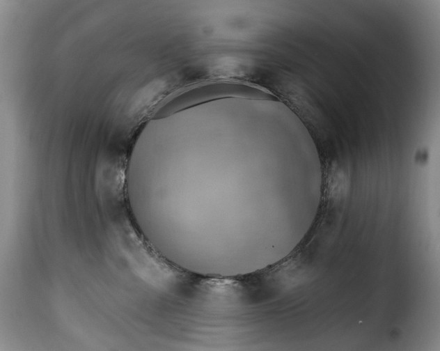 X0000115380427200911241308