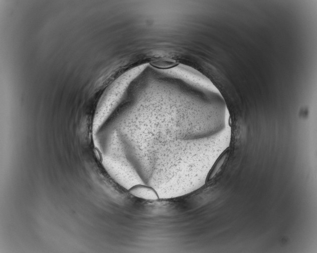 X0000115380428200911241308