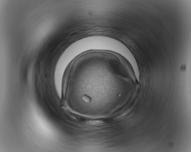 X0000115380429200911241308