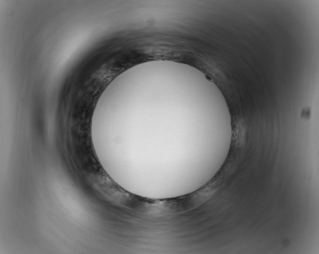 X0000115380430200911241308