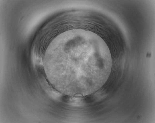 X0000115380431200911241308