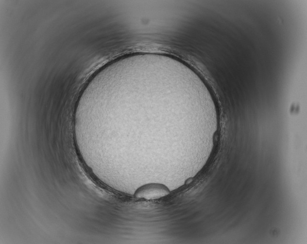 X0000115380433200911241307