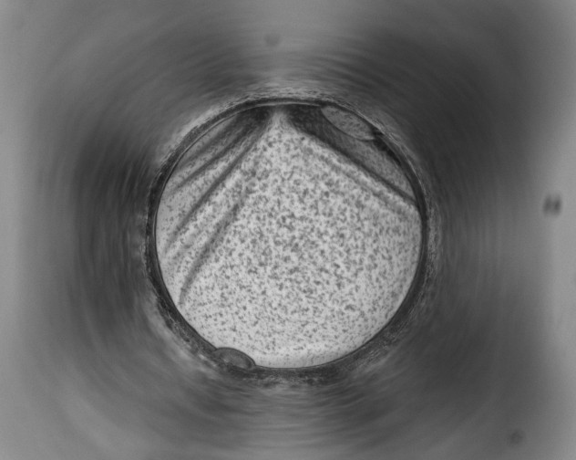 X0000115380434200911241307