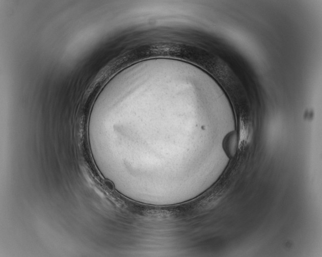 X0000115380435200911241307