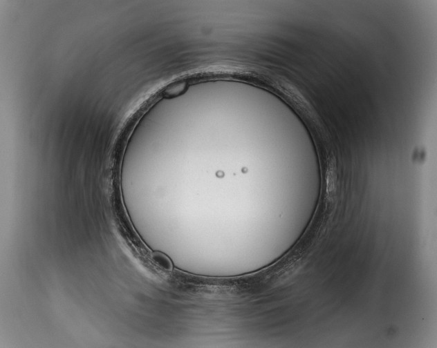 X0000115380436200911241307