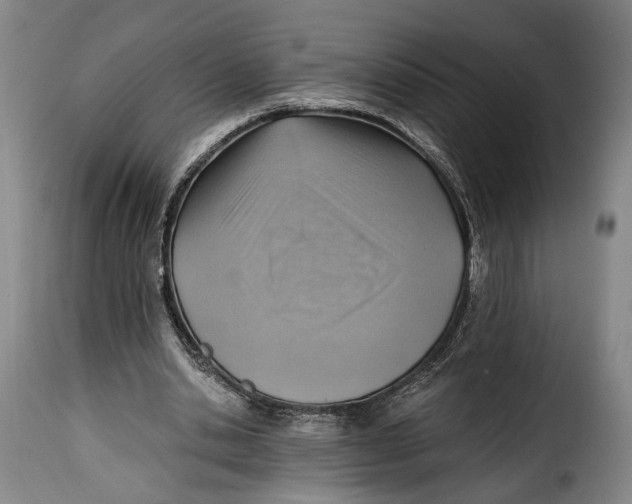 X0000115380438200911241307