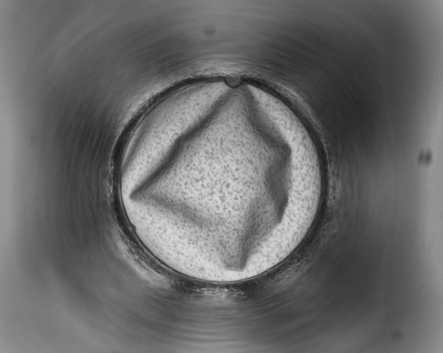 X0000115380439200911241307