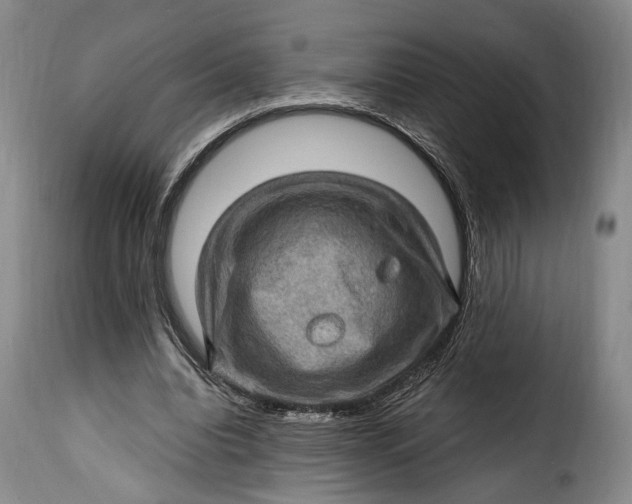 X0000115380440200911241307