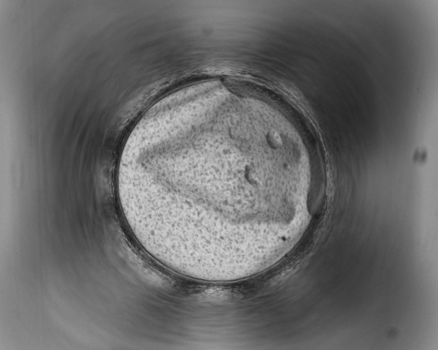 X0000115380441200911241307