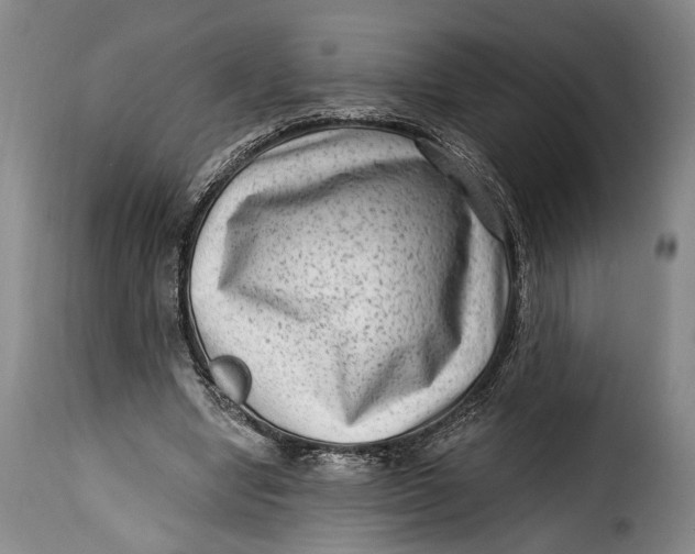 X0000115380442200911241307